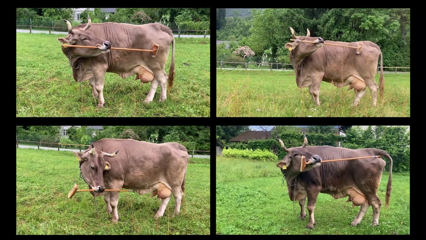 Four images of Veronika using the broom by grasping it in different ways.